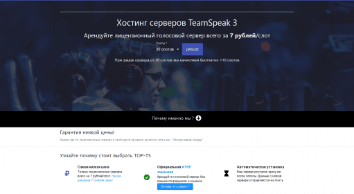 Top-TS / Игровой хостинг