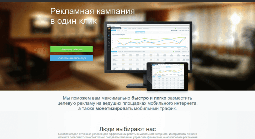 OctoBird / Тизерные сети